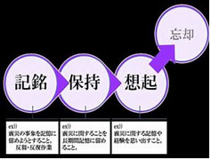 記憶段階